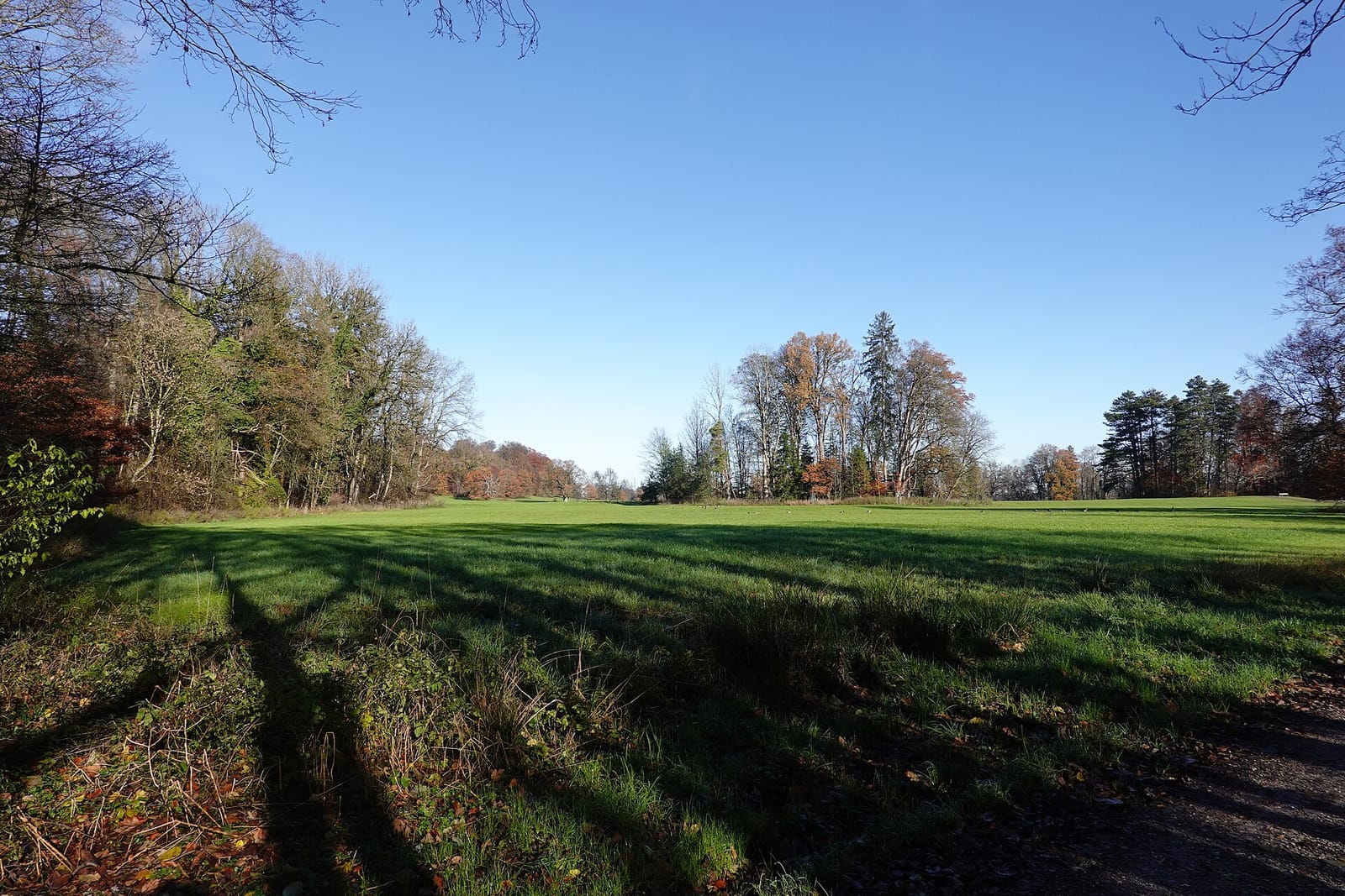 Landschaftspark auf der Grundlage des ehemals klösterlichen Hüteparks für Baron von Wendland geplant und ausgeführt von Carl von Effner, im englischen Stil, 1853/63, der südliche T