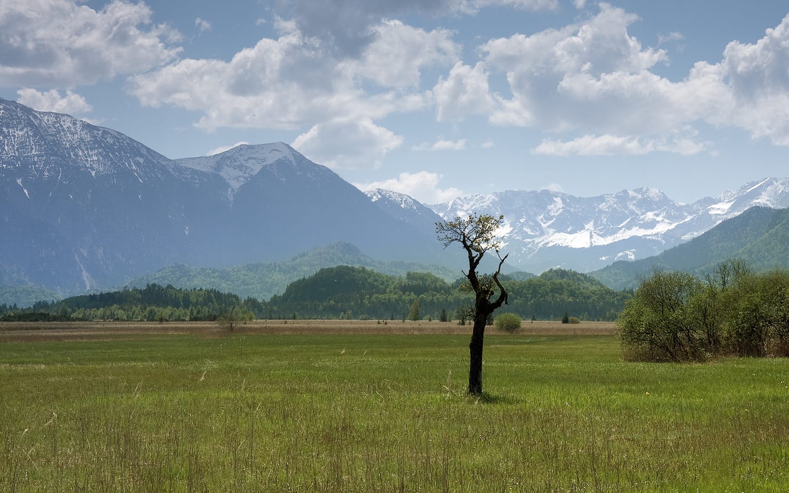 Based on the northern edge of the bavarian Alps and south of the city Murnau, the Murnauer Moos forms with 32 km² the biggest connected bogs of Central Europe