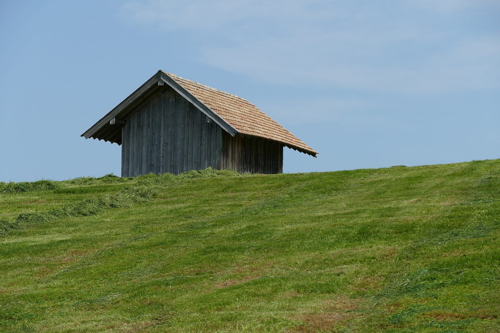A barn in a hayfield near the eastern shore in the North of Riegsee
