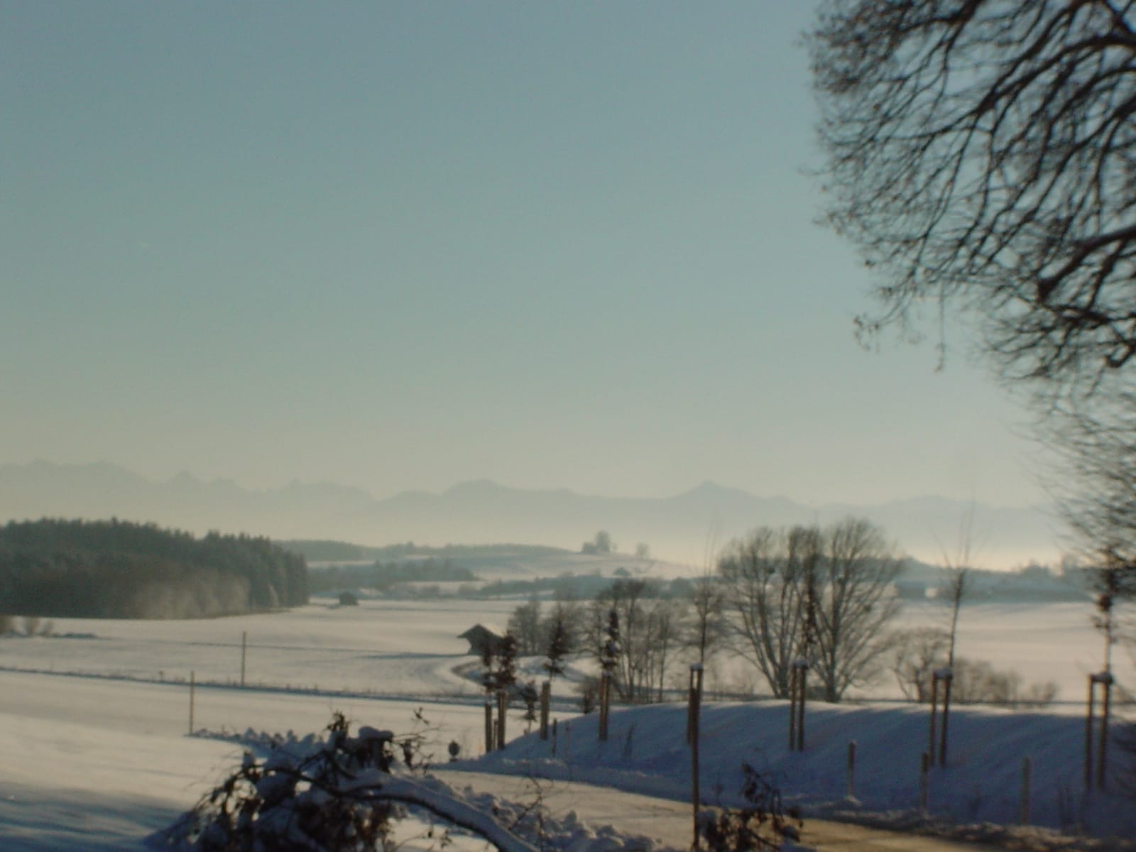 Raureiflandschaft mit fernem Alpenblick